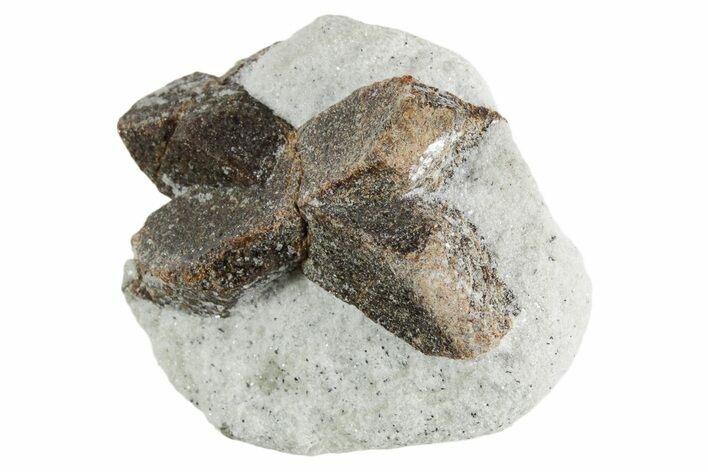 Twinned Staurolite Cross In Glittering Mica-Schist - Russia #356575